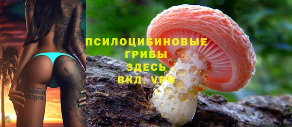 прущие крисы Кукмор