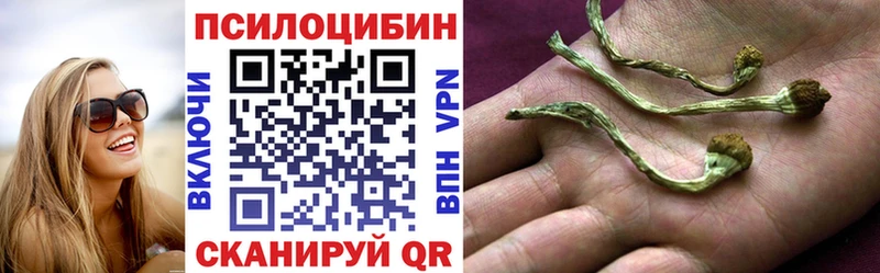 Галлюциногенные грибы Cubensis  Саратов 